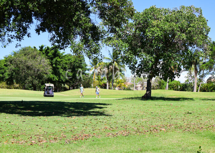 Golf Court Backyard Condo | Canablue