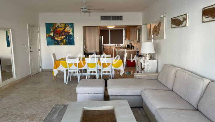 Tapa de la imagen de la tarjeta