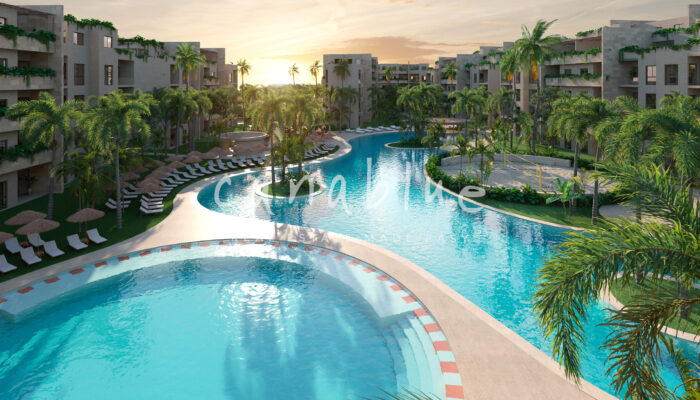 Tapa de la imagen de la tarjeta