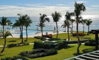 Tapa de la imagen de la tarjeta