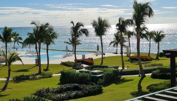 Tapa de la imagen de la tarjeta