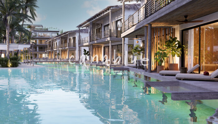 Tapa de la imagen de la tarjeta