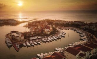 Tapa de la imagen de la tarjeta