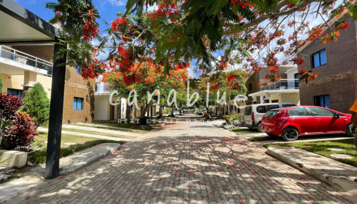 Tapa de la imagen de la tarjeta