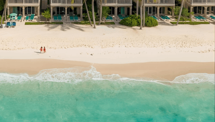 Tapa de la imagen de la tarjeta