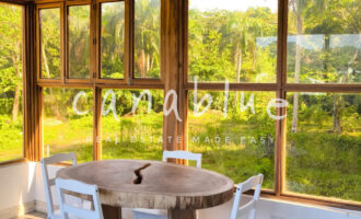 Tapa de la imagen de la tarjeta