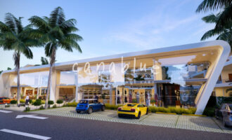 Tapa de la imagen de la tarjeta