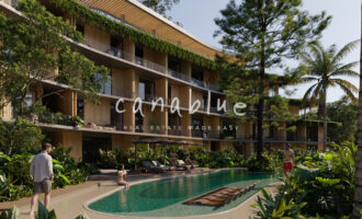 Tapa de la imagen de la tarjeta