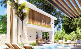 Tapa de la imagen de la tarjeta