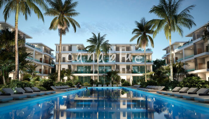 Tapa de la imagen de la tarjeta