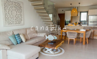 Tapa de la imagen de la tarjeta