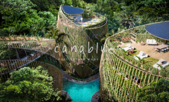 Tapa de la imagen de la tarjeta