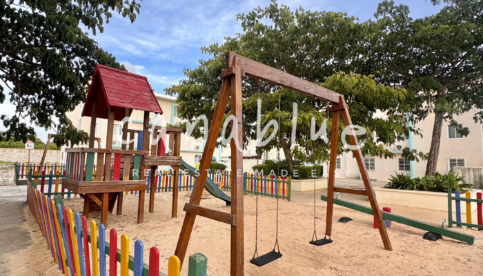 Tapa de la imagen de la tarjeta