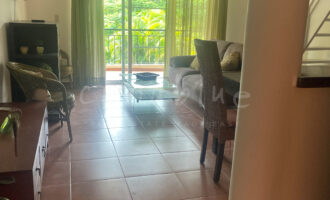 Tapa de la imagen de la tarjeta